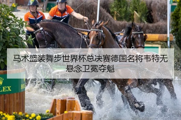 ma-shu-sheng-zhuang-wu-bu-shi-jie-bei-zong-jue-sai-de-guo-ming-jiang-wei-te-wu-xuan-nian-wei-mian-duo-kui-2-230.jpg