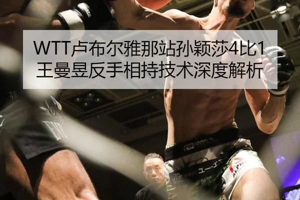 lu-bu-er-ya-na-zhan-sun-ying-sha-bi-wang-man-yu-fan-shou-xiang-chi-ji-shu-shen-du-jie-xi-3-399.jpg