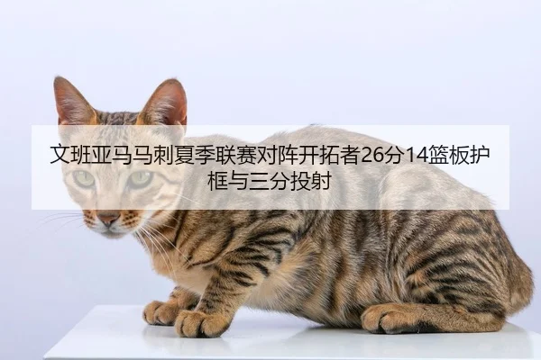 wen-ban-ya-ma-ma-ci-xia-ji-lian-sai-dui-zhen-kai-tuo-zhe-fen-lan-ban-hu-kuang-yu-san-fen-tou-she-3-279.jpg