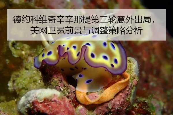 de-yue-ke-wei-qi-xin-xin-na-ti-di-er-lun-yi-wai-chu-ju-mei-wang-wei-mian-qian-jing-yu-tiao-zheng-ce-lve-fen-xi-2-642.jpg